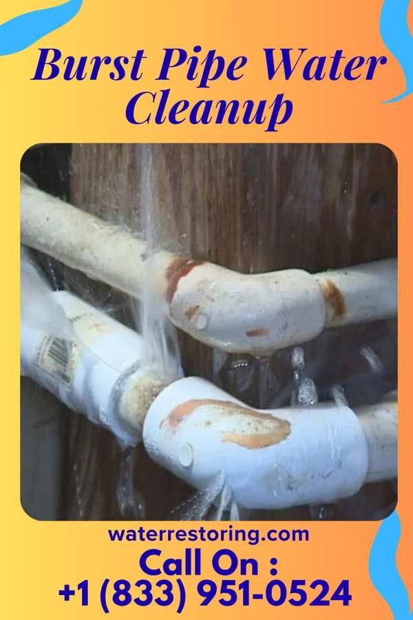 Burst Pipe Water Cleanup in Churubusco, IN